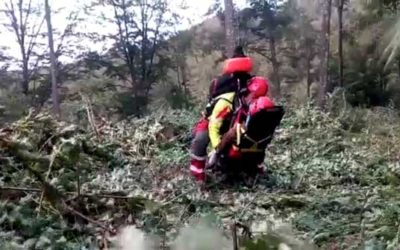Real Hoist Trauma Recovery with N-E-Xt